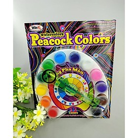 Sale  màu vẽ Con công, màu nước 12 màu