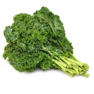 Hạt giống cả xoăn cải Kale trồng quanh năm