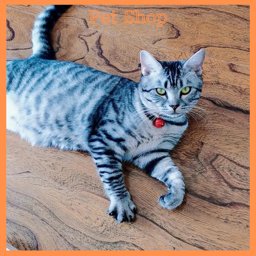 Chuông gắn vòng cổ thú cưng màu sắc ngọt ngào kích cỡ 22mm Tùy Chọn Màu