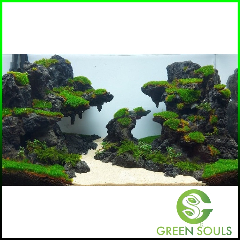 1 Kg - Đá đen gia lai - Đá trang trí dùng cho bể cá, bể thủy sinh