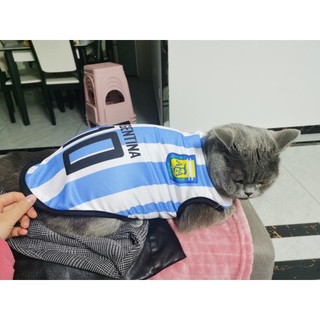 Combo Áo thể thao cho chó mèo