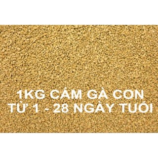 5 Ký cám gà con, chim non