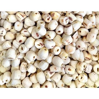 Hạt sen quê- hạt sen khô thơm ngon bùi vị