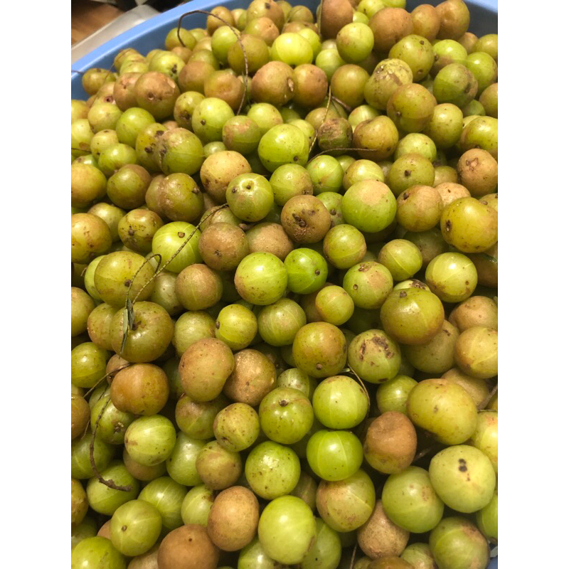 Me rừng Tây Bắc tươi.chua chát ngọt (amla )