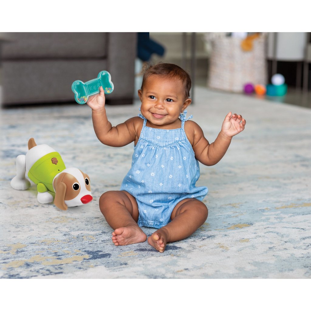 Đồ Chơi INFANTINO Hình Chú Chó Nhún Nhảy Di Chuyển Và Phát Nhạc - SHAKE'N DANCE PUPPY