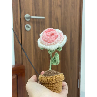 [Sẵn] Chậu hoa bằng len