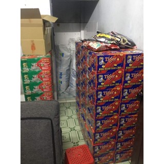  bia tiger nâu mẫu xuân 2024 