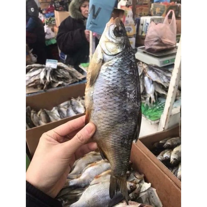 CÁ ASTRAKHAN NGA - CÁ KHÔ NGA - CÁ VOPLA NGA GÓI HÚT CHÂN KHÔNG