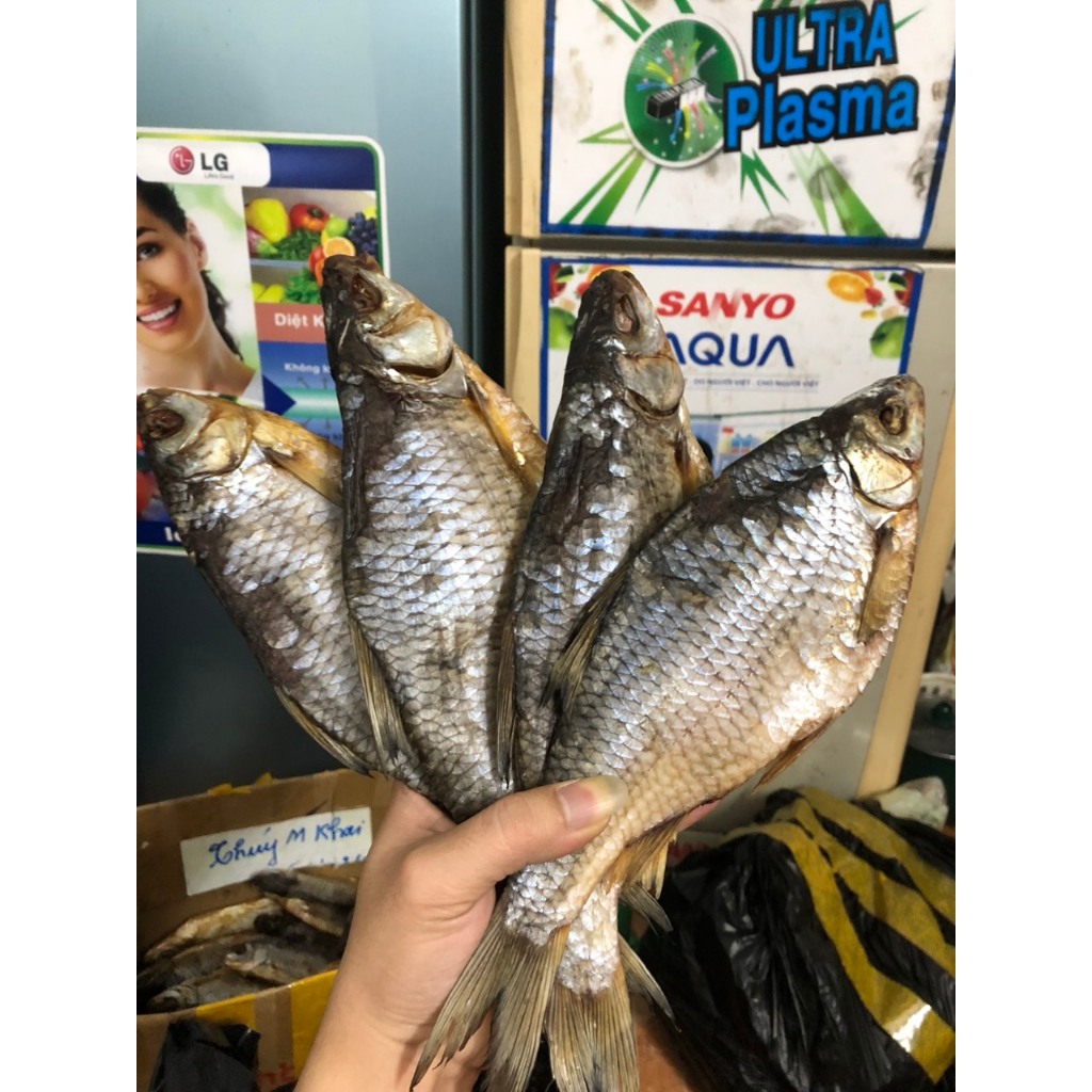 CÁ ASTRAKHAN NGA - CÁ KHÔ NGA - CÁ VOPLA NGA GÓI HÚT CHÂN KHÔNG