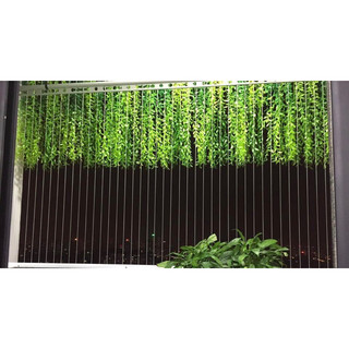 cúc Tần Ấn Độ, cành lá giả decor