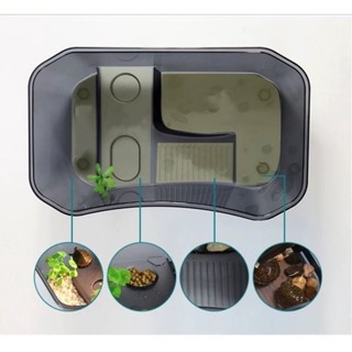  Bể nuôi rùa   Chậu nuôi rùa  Hộp nuôi rùa Lưỡng cư có đảo nhỏ có máng leo chỗ cho ăn 