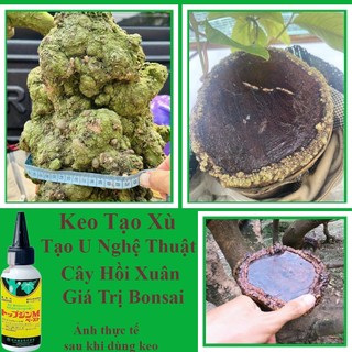 Combo 10 lọ keo liền da cây của Nhật, LS Nhật, tạo xù nghệ thuật cho cây bonsai
