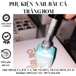 Sơn Nhũ Flash Siêu Sáng