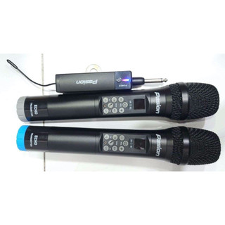 Micro Paramax Pasion Echo - Hàng chính hãng
