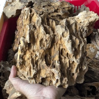 đá Tiger  [1kg] setup bể thủy sinh  tiểu cảnh trang trí bể c