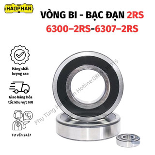 Vòng bi, bạc đạn mã 6300-2rs, 6301-2rs, 6302-2rs, 6303-2rs, 6305-2rs, 6307-2rs xlzy chính hãng - phutunghaophan