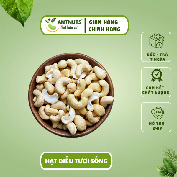 Nhân Hạt Điều Tươi Sống Làm Sữa Hạt, Ăn Dặm, Ăn Vặt - Bếp Nhà Ant