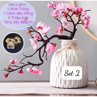 Bình sứ & hoa đào bonsai mix đào đông đỏ trang trí tết, nhà, cửa hàng, công ty chào xuân 2024 🌻