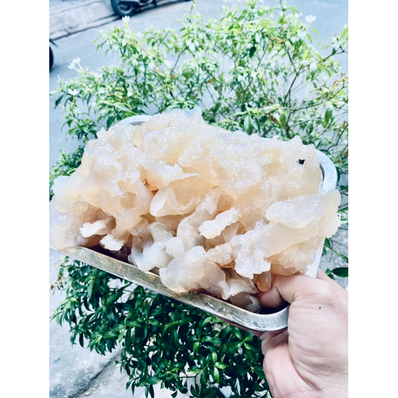 Sứa chân phần ngon nhất của sứa ) bịch 1kg không tính nước