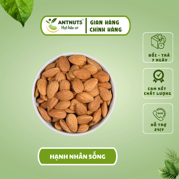 Hạnh nhân Tươi Sống - Làm sữa hạt, ăn dặm cho bé Siêu ngon