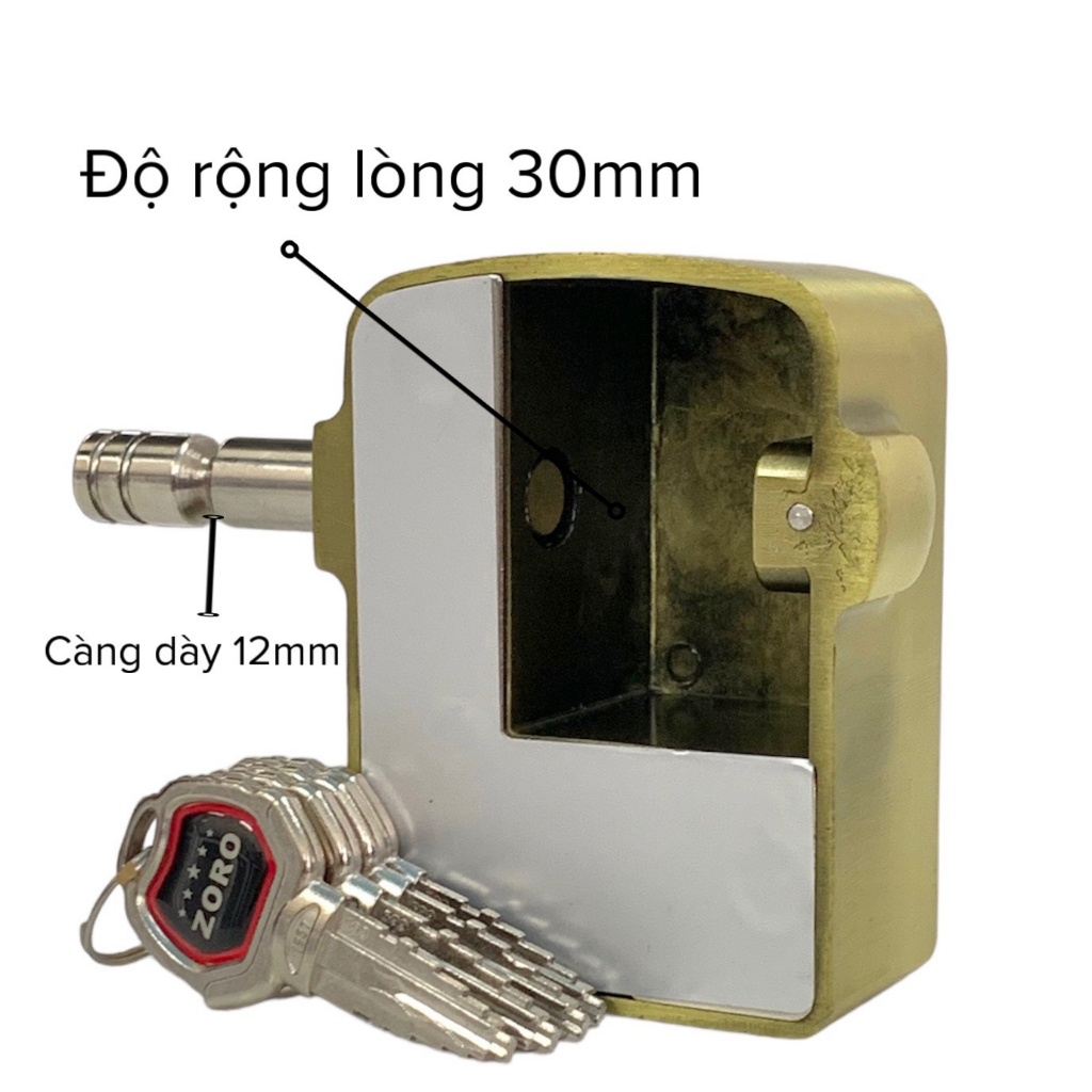 Ổ KHÓA CHỤP CHỐNG TRỘM TOÀN DIỆN ZORO AL-80