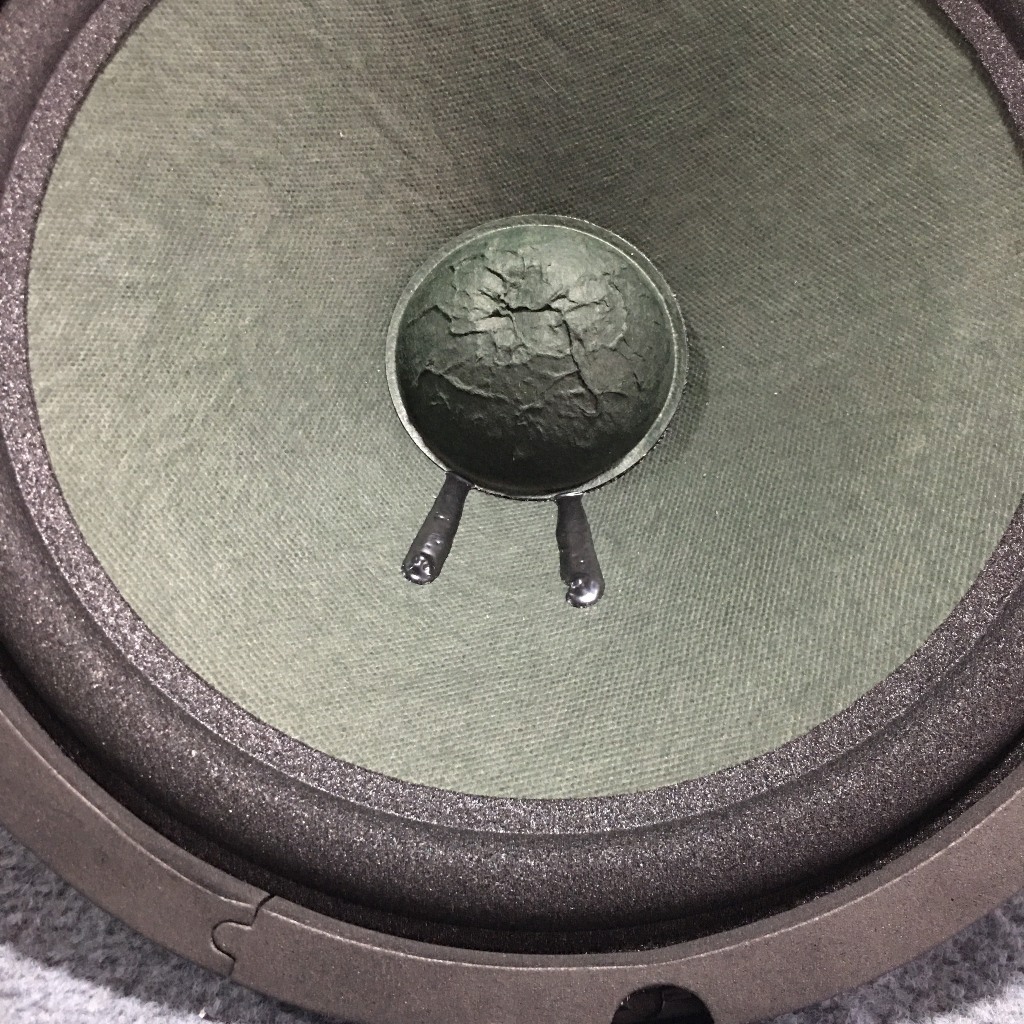 LOA BASS 25 MARTIN GÂN MÚT TỪ KÉP 100-126 COIL 36 - GIÁ HAI