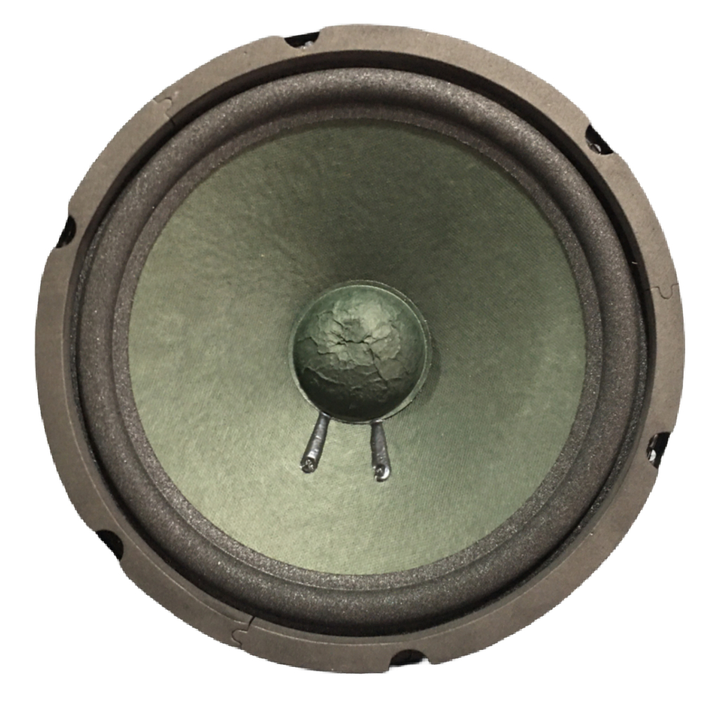 LOA BASS 25 MARTIN GÂN MÚT TỪ KÉP 100-126 COIL 36 - GIÁ HAI