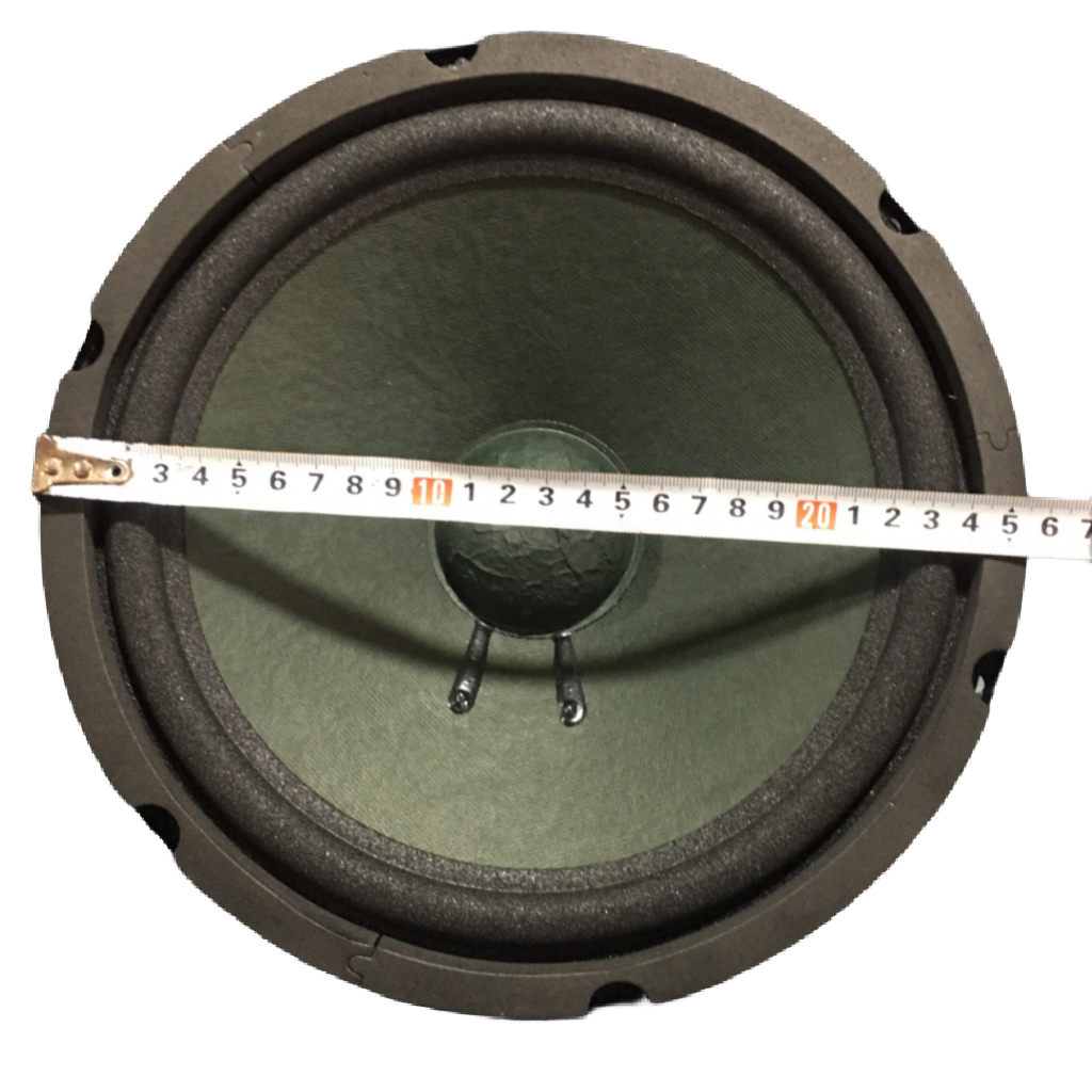 LOA BASS 25 MARTIN GÂN MÚT TỪ KÉP 100-126 COIL 36 - GIÁ HAI