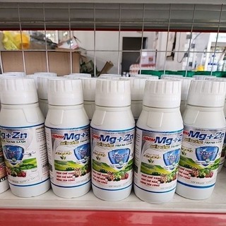 SIÊU MAGIE KẼM