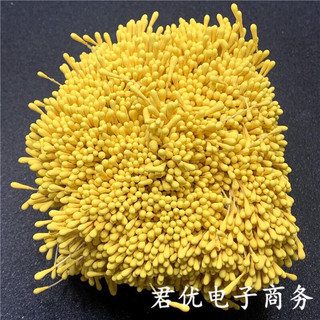 Nhuỵ hoa giả - handmade