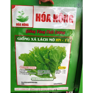 Hạt giống Rau xà lách mỡ gói 10g Hiệu Hóa Nông. Hạt giống rau cải. Rau xà lách mỡ.