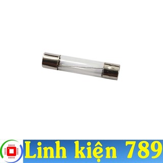 Cầu chì 20a 250v 6x30mm