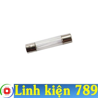 Cầu chì 20A 250V 6x30mm