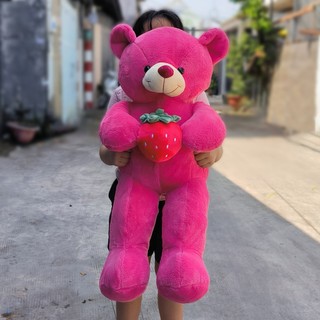 Gấu bông Teddy Ôm Dâu lông mềm mịn nhồi bông cao cấp ôm cực thích