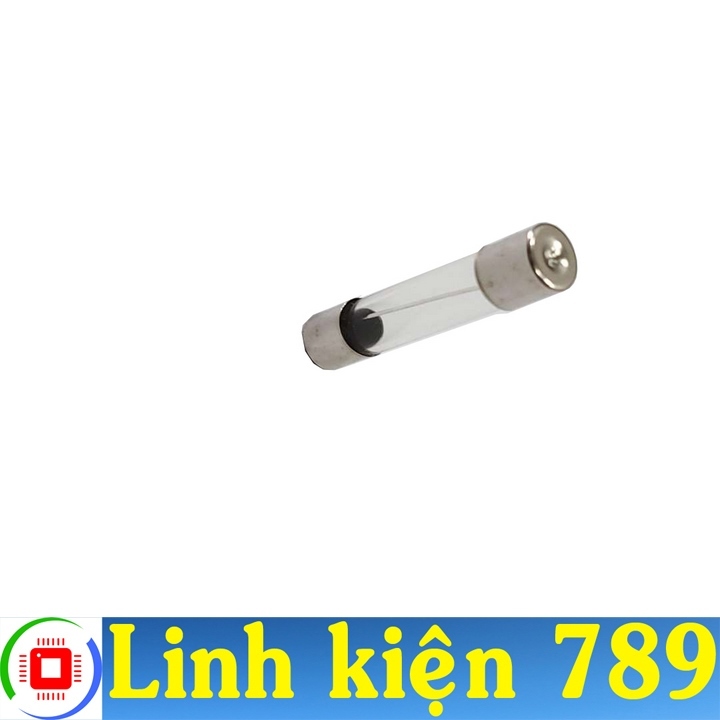 Cầu chì 20A 250V 6x30mm