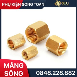 Nối Hai Đầu Ren Trong & Măng Sông - Đồng Thau Sản Xuất Theo Bước Ren Thông Dụng BSP Hệ G (Female Brass nipple fitting)