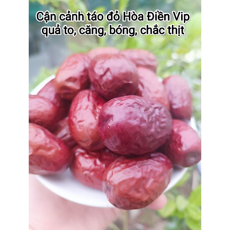 Cam Kết táo đỏ Tân Cương Hòa Điền loại thượng hạng 4-6cm 1kg