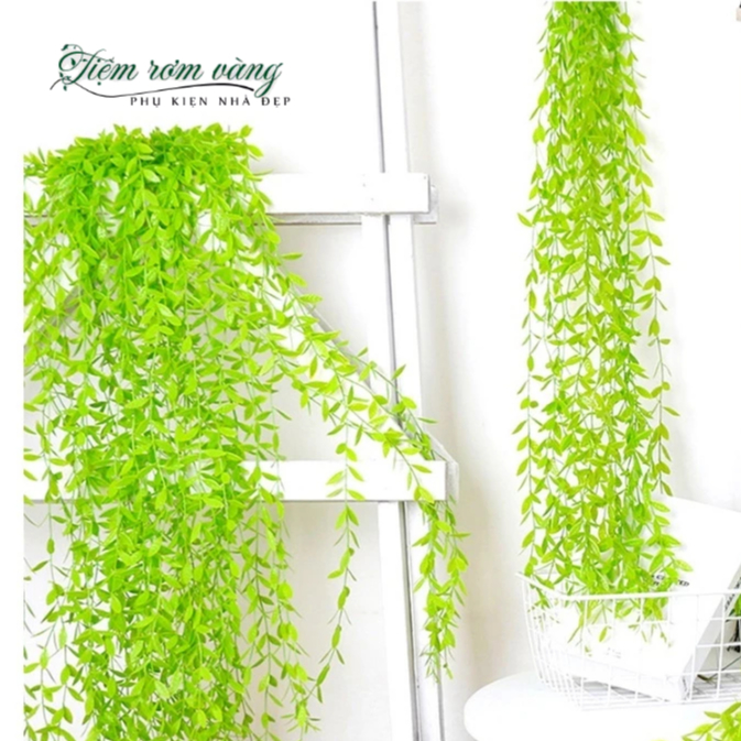 Combo 10 Dây Cúc Tần Nhựa Ấn Độ Giả Chiều Dài 1M, 1 Cụm 5 Nhánh, Decor Trang Trí Đẹp - Dây Leo Trang Trí