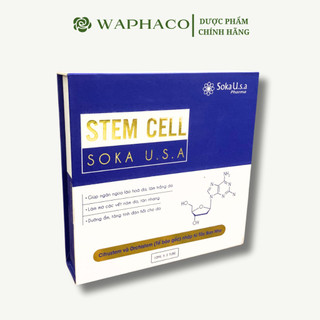 Tế bào gốc stem cell