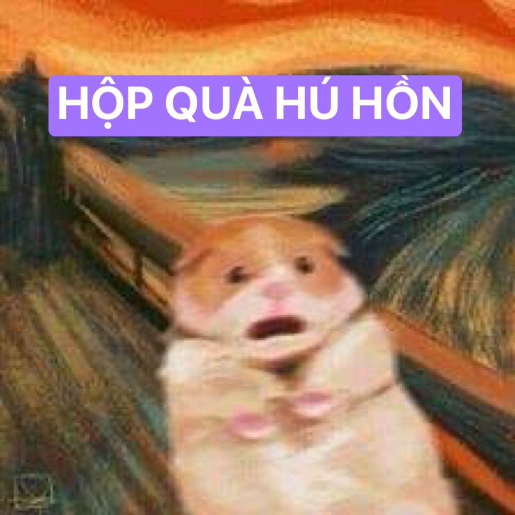 HỘP QUÀ HÚ HỒN - gấu bông đình may