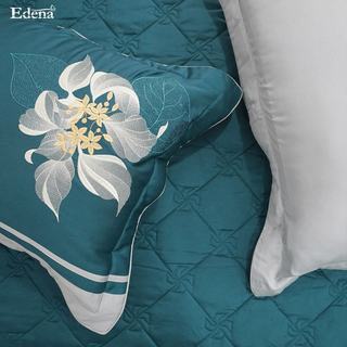 Bộ Drap Edena tencel plus 901