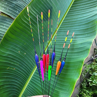 Phao Đèn Câu Đêm Tặng Kèm Pin