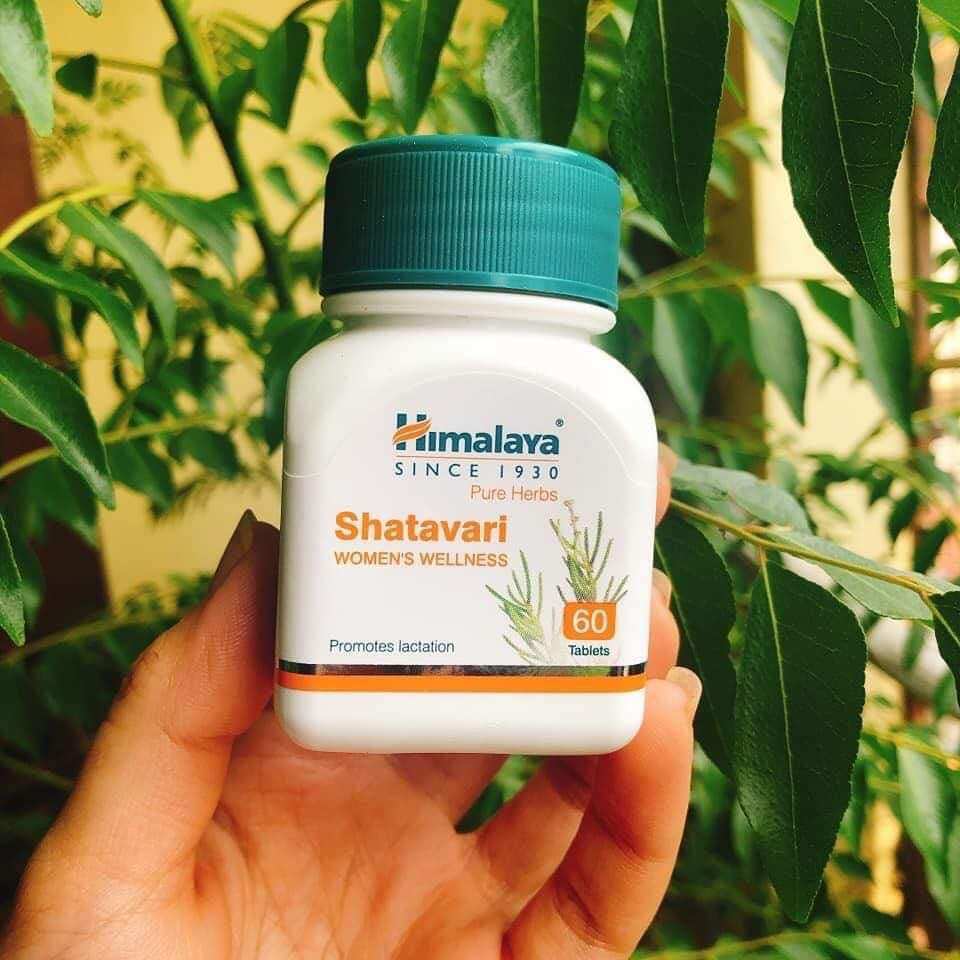 Shatavari Himalaya viên nội tiết tố giảm mụn đẹp da herbal store