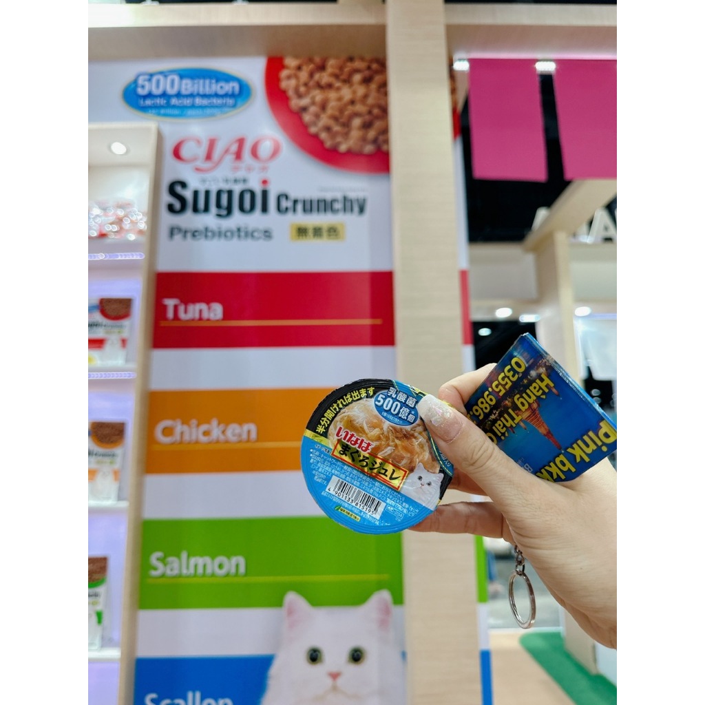 Pate Ciao Cup 500 tỷ lợi Khuẩn Tốt Tiêu Hóa Mèo ⚡ NỘI ĐỊA THÁI ⚡65g