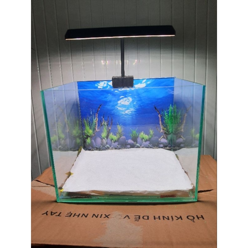 Cát thạch anh trắng trang trí hồ thủy sinh tiểu cảnh