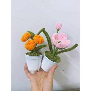Chậu cây mini kẽm nhung để bàn dễ thương có đèn led