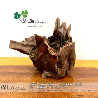 Chậu gỗ lũa tròn thấp