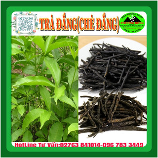 100g trà đắng cao bằng
