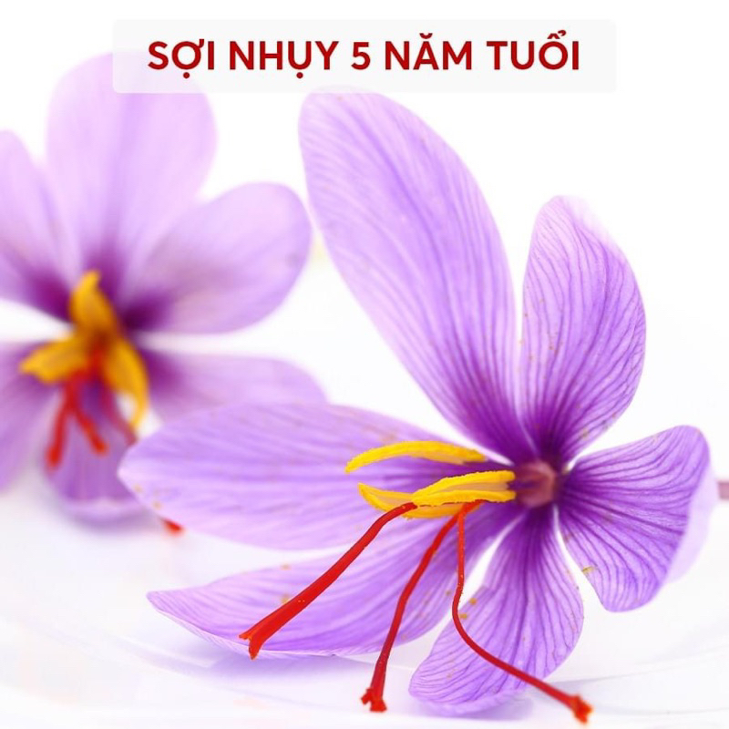 Nhụy Hoa Nghệ Tây SAFFRON SALAM 1Gr
