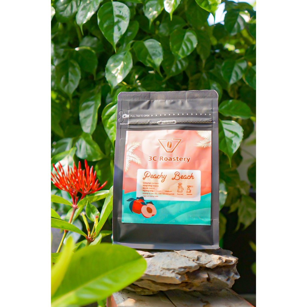 Cà phê Ethiopia Sidamo - 3C Roastery